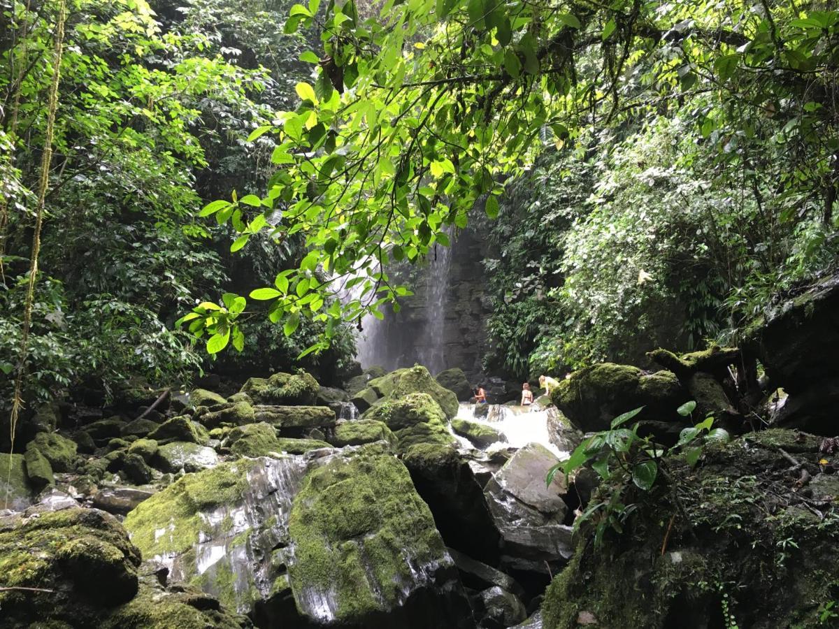 Grand Selva Lodge & Tours Tena Exteriér fotografie