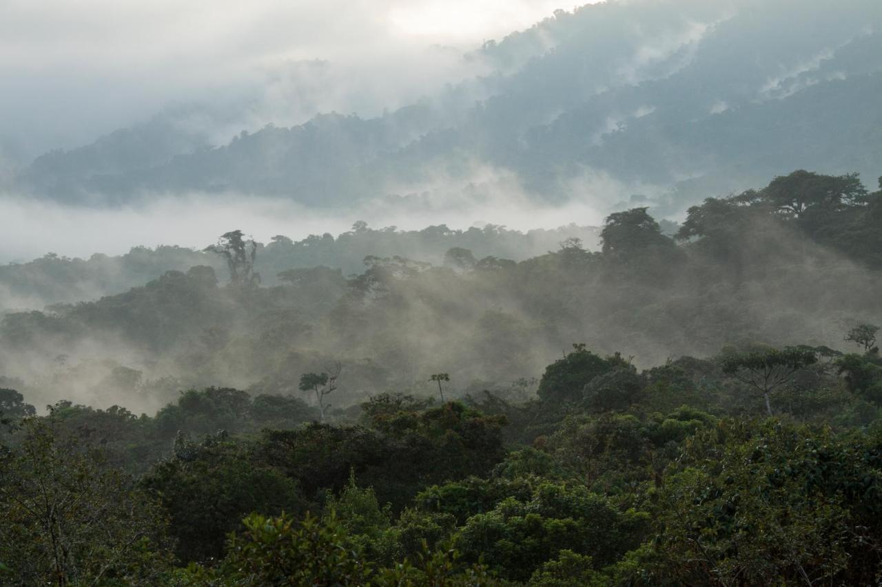 Grand Selva Lodge & Tours Tena Exteriér fotografie